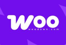 Checkout Add-Ons for WooCommerce 2.8.0-WeaDown