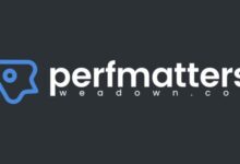 Perfmatters 2.6.1 – Lightweight WordPress Performance Plugin-WeaDown